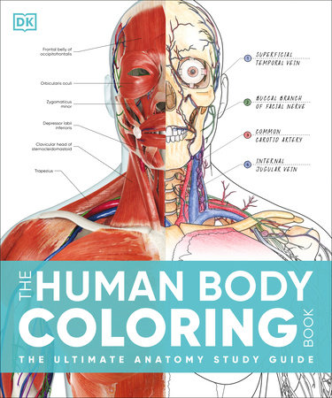 The Human Body Coloring Book by DK