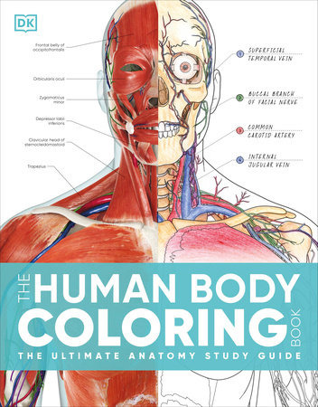 The Human Body Coloring Book by DK