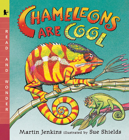 Chameleons Are Cool by Martin Jenkins