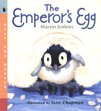 The Emperor's Egg: Big Book by Martin Jenkins