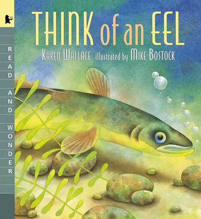 Think of an Eel: Big Book by Karen Wallace; Illustrated by Mike Bostock