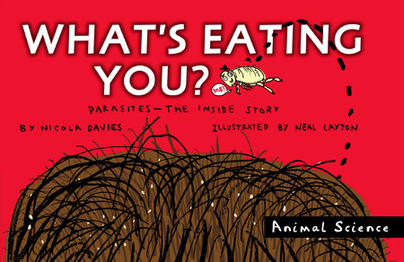 What's Eating You? by Nicola Davies