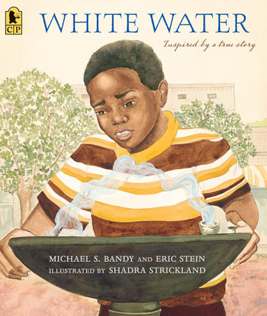 White Water by Michael S. Bandy and Eric Stein