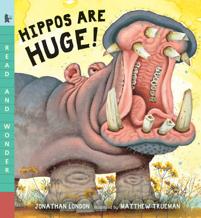 Hippos Are Huge! by Jonathan London