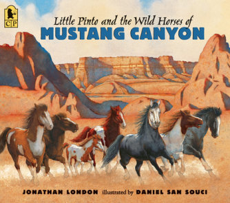 Little Pinto and the Wild Horses Of Mustang Canyon