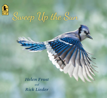 Sweep Up the Sun by Helen Frost; Illustrated by Rick Lieder