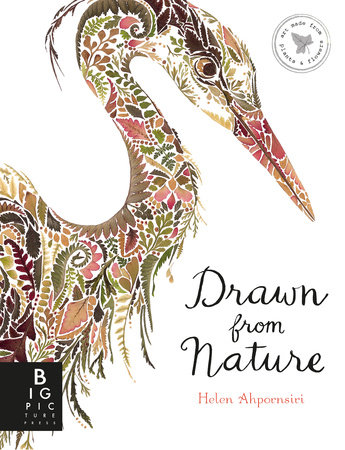 Drawn from Nature by Helen Ahpornsiri