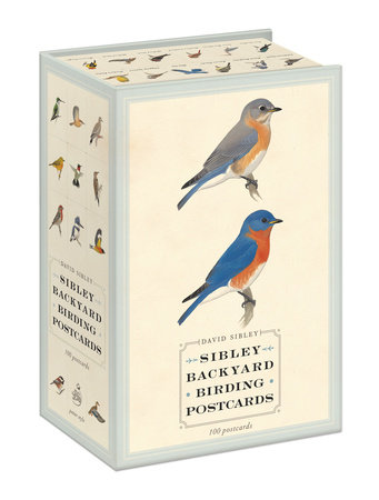 Sibley Backyard Birding Postcards by David Sibley and David Allen Sibley
