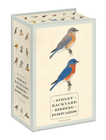 Sibley Backyard Birding Postcards by David Sibley