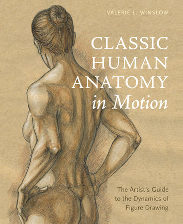 Classic Human Anatomy in Motion by Valerie L. Winslow