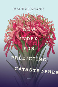 A New Index for Predicting Catastrophes