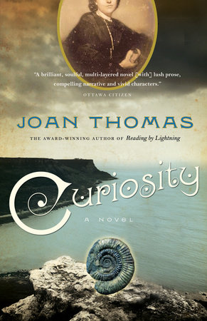 Curiosity by Joan Thomas