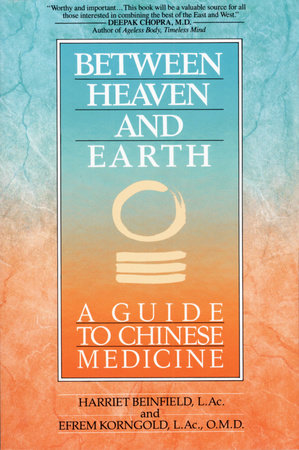 Between Heaven and Earth by Harriet Beinfield, Efrem