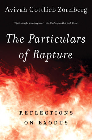The Particulars of Rapture by Avivah Gottlieb Zornberg