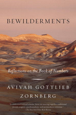 Bewilderments by Avivah Gottlieb Zornberg