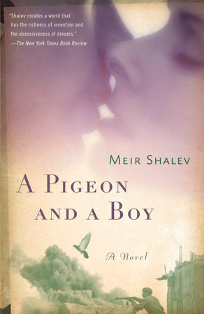 A Pigeon and a Boy by Meir Shalev