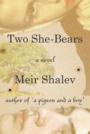 Two She-Bears by Meir Shalev