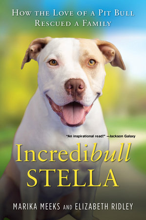 Incredibull Stella by Marika Meeks and Elizabeth Ridley