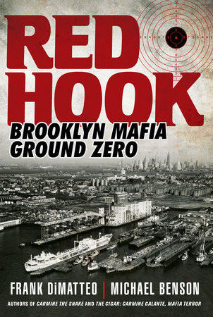 Red Hook by Frank Dimatteo and Michael Benson