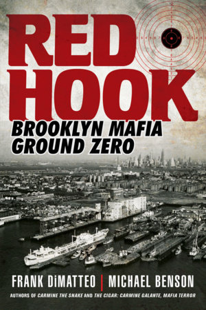 Red Hook by Frank DiMatteo and Michael Benson