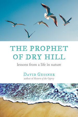 The Prophet of Dry Hill by David Gessner