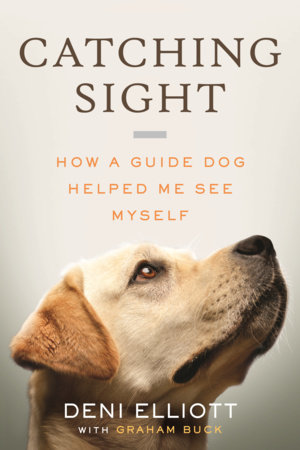 Catching Sight (LARGE PRINT EDITION) by Deni Elliott