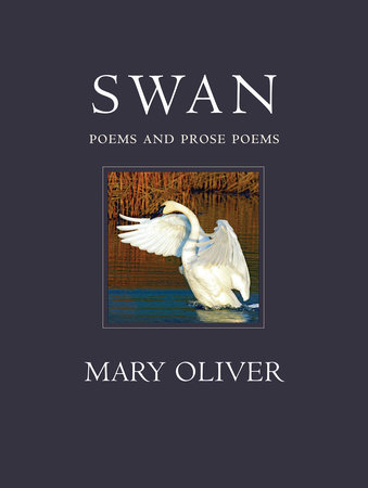 Swan by Mary Oliver