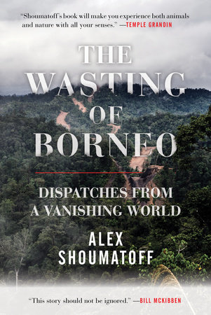 The Wasting of Borneo by Alex Shoumatoff