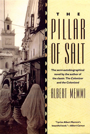 The Pillar of Salt by Albert Memmi