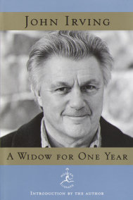 a widow for one year book
