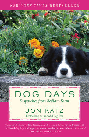 Dog Days by Jon Katz