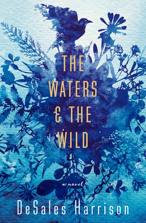 The Waters & The Wild by DeSales Harrison