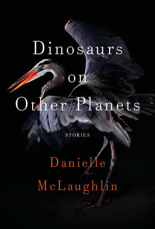Dinosaurs on Other Planets by Danielle McLaughlin
