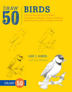 Draw 50 Famous Cartoons by Lee J. Ames: 9780823085682 |  : Books