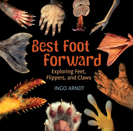 Best Foot Forward by Ingo Arndt