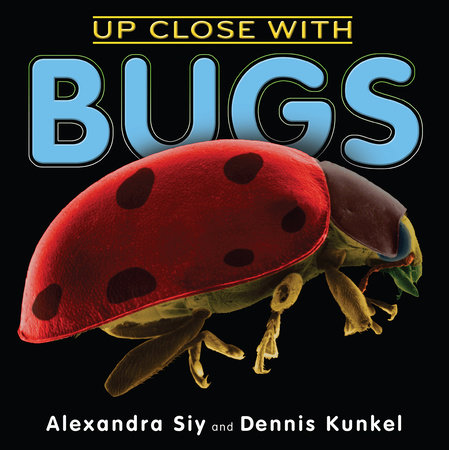 Up Close With Bugs by Alexandra Siy