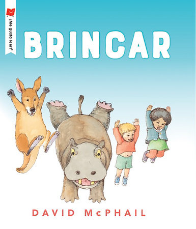 Brincar by David McPhail