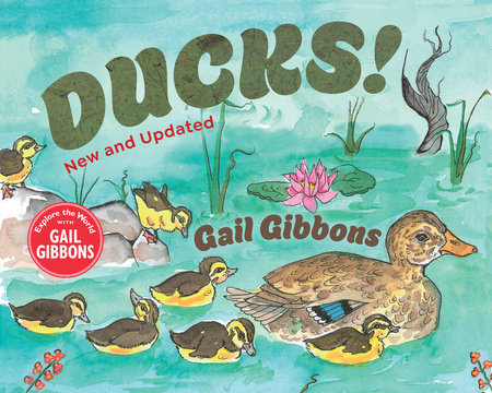 Ducks! (New & Updated) by Gail Gibbons