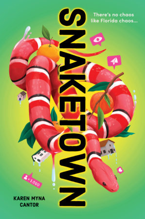 Snaketown by Karen Myna Cantor