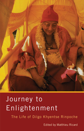 Journey to Enlightenment by Matthieu Ricard