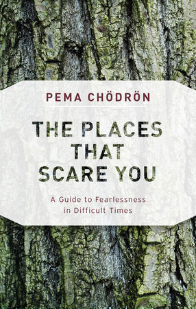 The Places That Scare You by Pema Chödrön