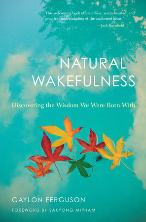 Natural Wakefulness by Gaylon Ferguson
