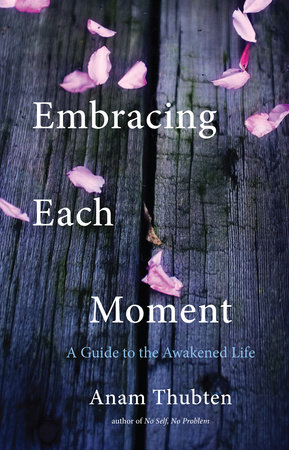 Embracing Each Moment by Anam Thubten