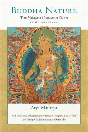 Buddha Nature by Arya Maitreya, Jamgon Kongtru Lodro Taye and Khenpo Tsultrim Gyamtso