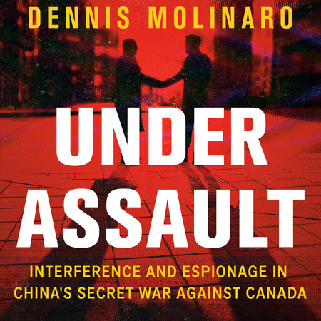Under Assault by Dennis Molinaro