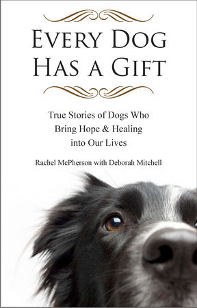 Every Dog Has a Gift by Rachel McPherson
