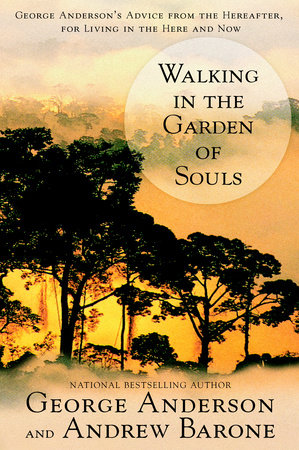 Walking in the Garden of Souls by George Anderson and Andrew Barone