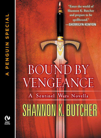Bound by Vengeance by Shannon K. Butcher