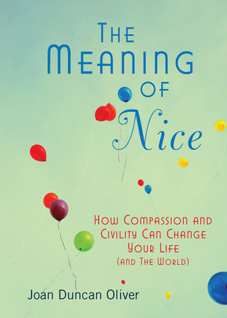 The Meaning of Nice by Joan Duncan Oliver