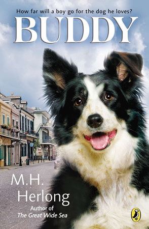 Buddy by M.H. Herlong